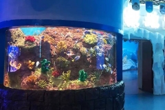 Supplier-Aquarium-berbagai-bentuk-dan-ukuran-FILEminimizer